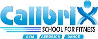 Calibrix School For Fitness, T Nagar